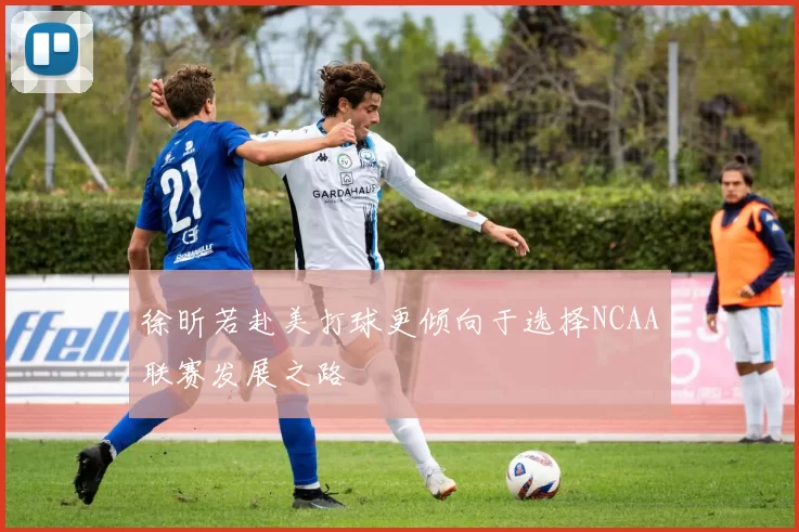 徐昕若赴美打球更倾向于选择NCAA联赛发展之路