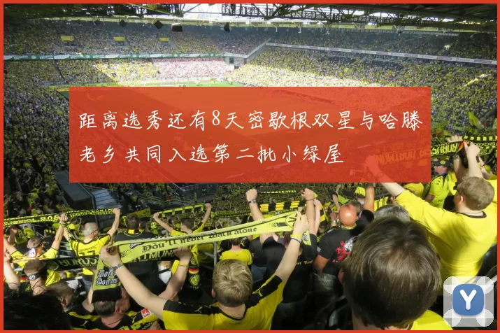 距离选秀还有8天密歇根双星与哈滕老乡共同入选第二批小绿屋