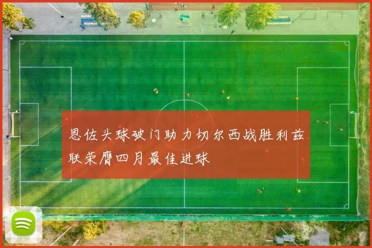 恩佐头球破门助力切尔西战胜利兹联荣膺四月最佳进球